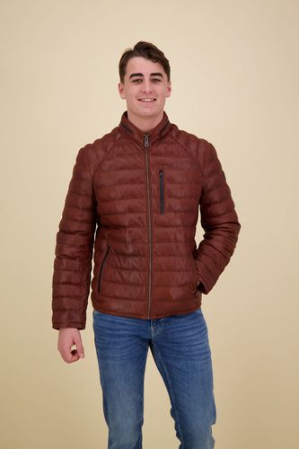 Donders 1860 jacket Bruin