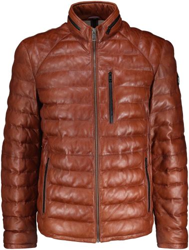 Donders 1860 jacket Bruin