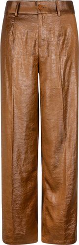 Esqualo Trousers metallic em Bruin