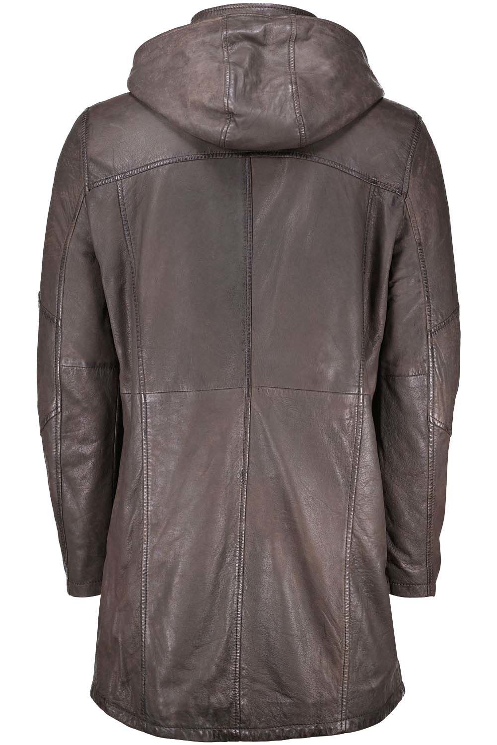 Gipsy Jas Kassio Bruin Gipsy Jas Kassio Bruin