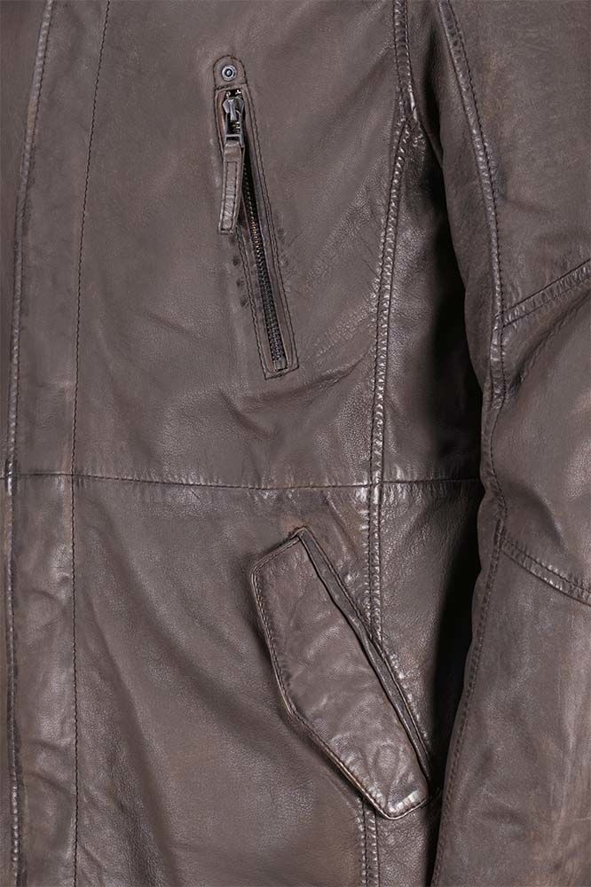 Gipsy Jas Kassio Bruin Gipsy Jas Kassio Bruin