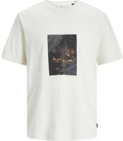 jprbladante ss graphic tee Wit