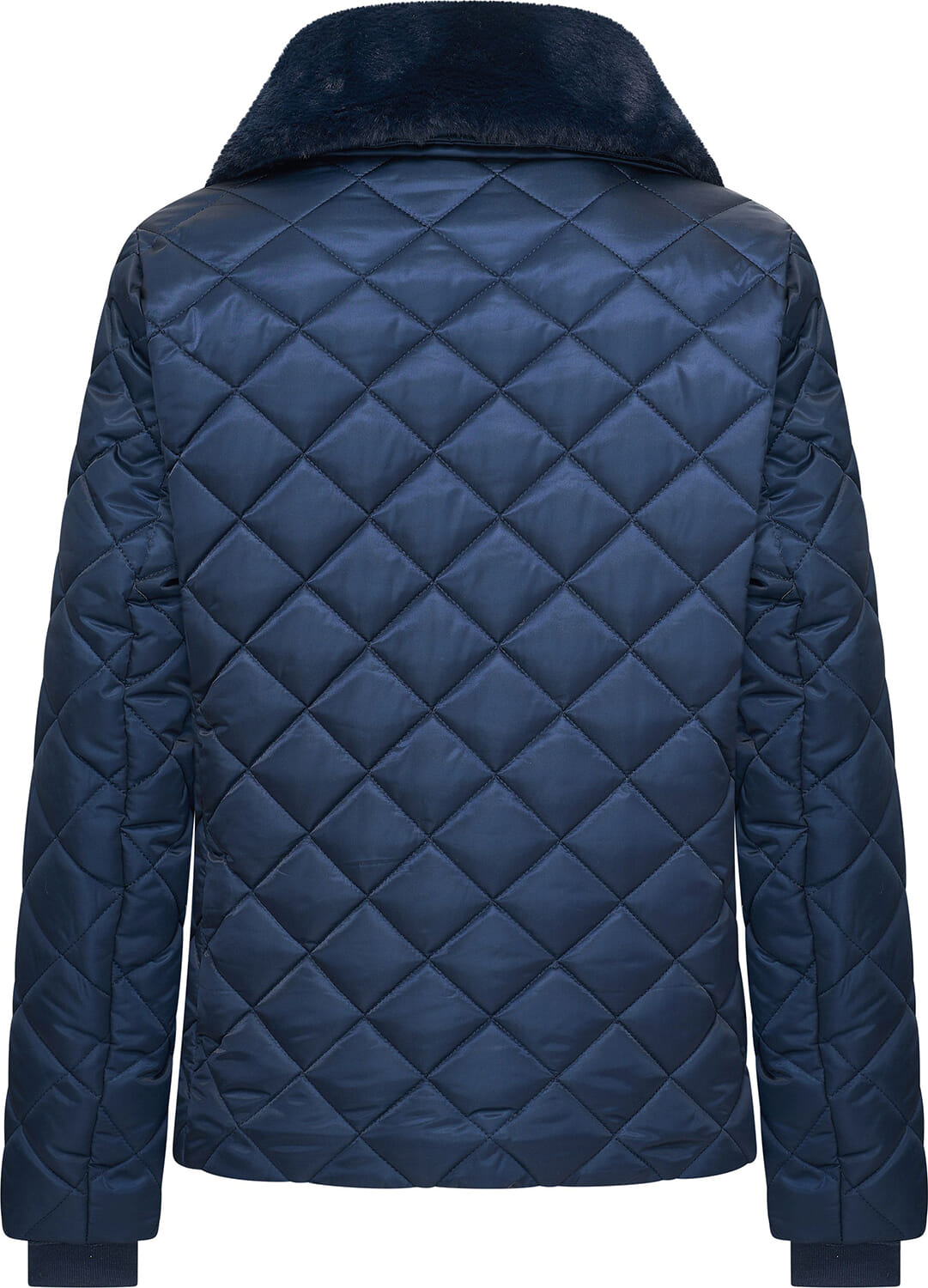 HV Society  HV Society