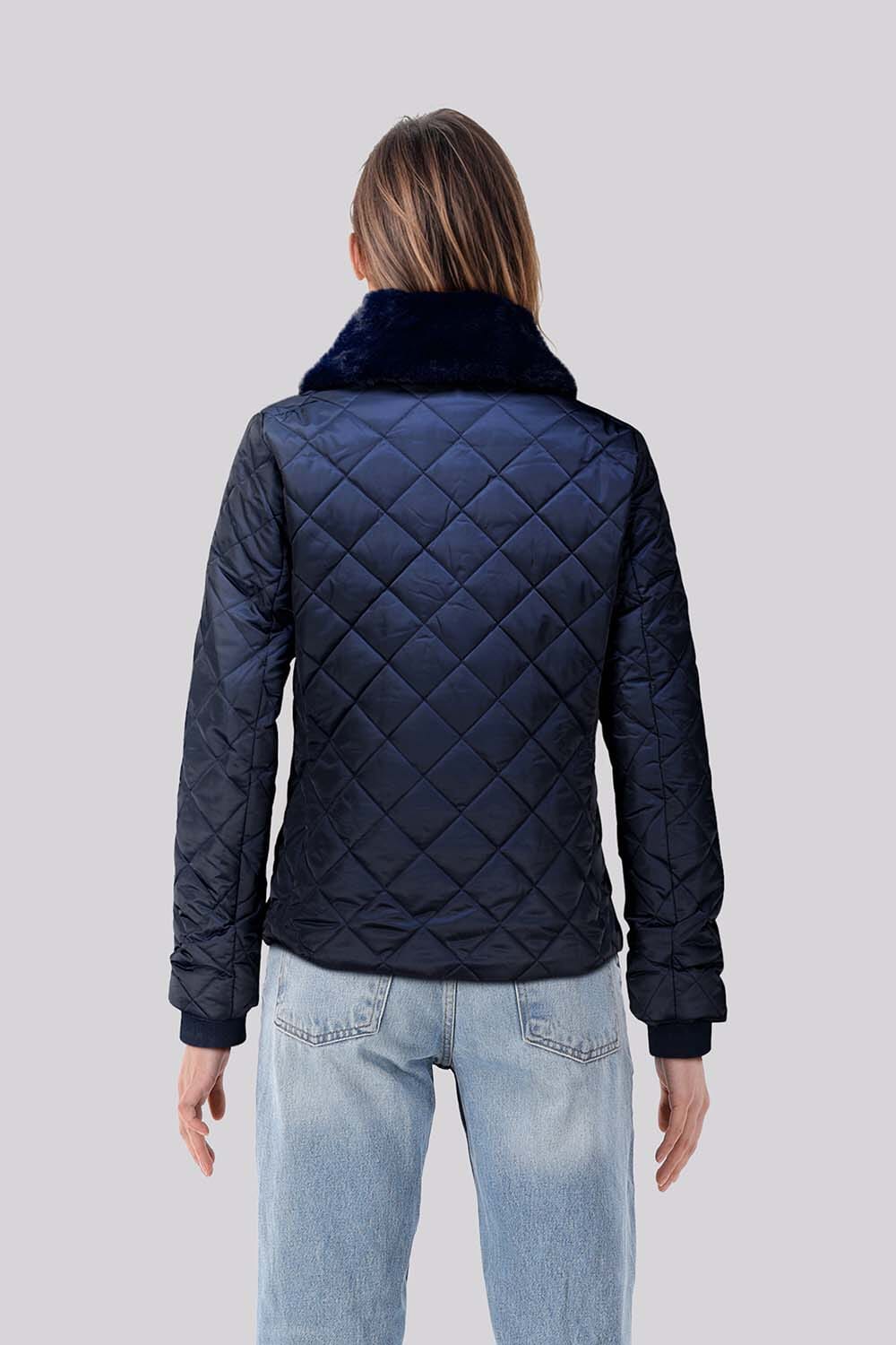 HV Society  HV Society