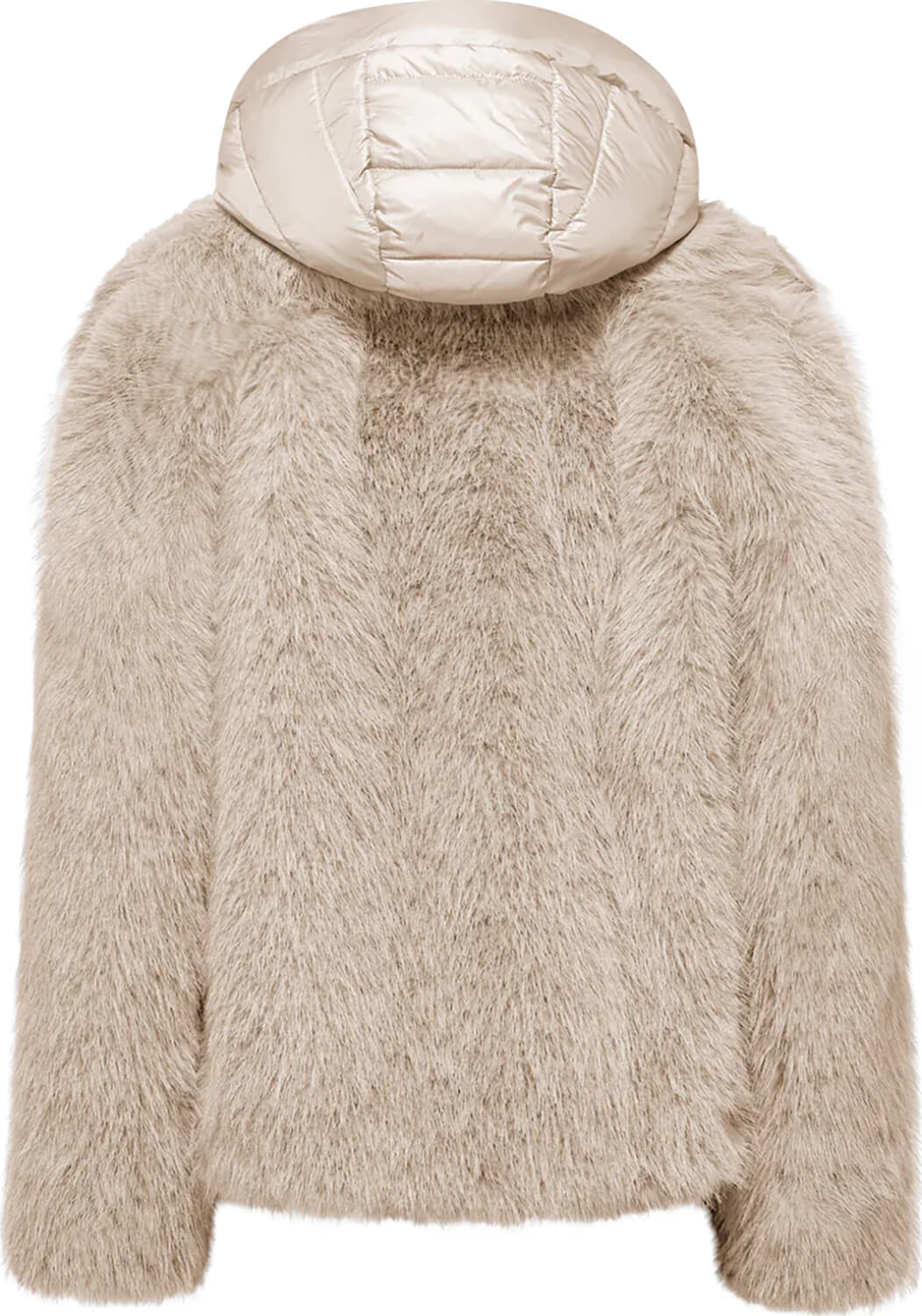 Bomboogie  Bomboogie