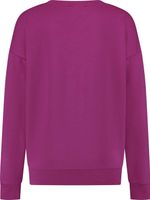 Sweater Holly Roze