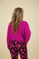 Sweater Holly Roze