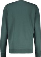 Sweater Groen