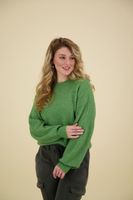 Pullover Gustel Hope  Groen