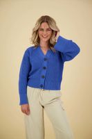 MSCHJillena Cardigan Blauw