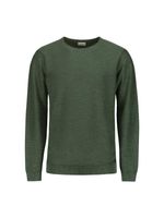 Pullover Crewneck Garment Dyed + St Groen