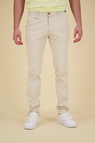 North 84 Chino Collection Wit