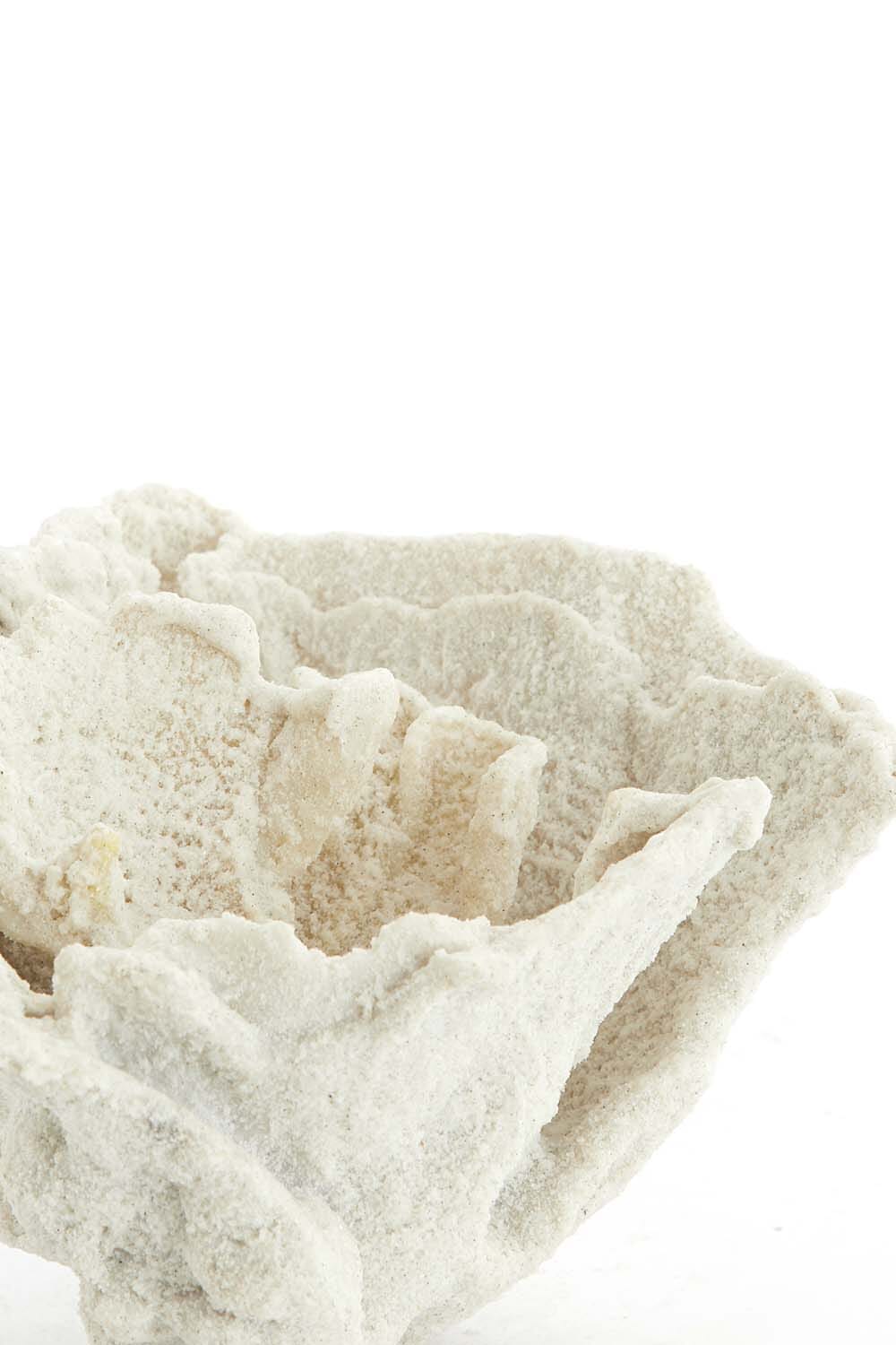 Bomont Collection Ornament Coral  Wit Bomont Collection Ornament Coral  Wit