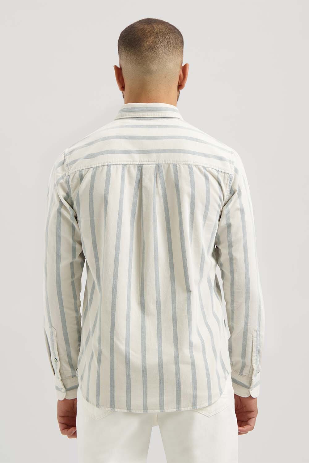 Dstrezzed  Dstrezzed