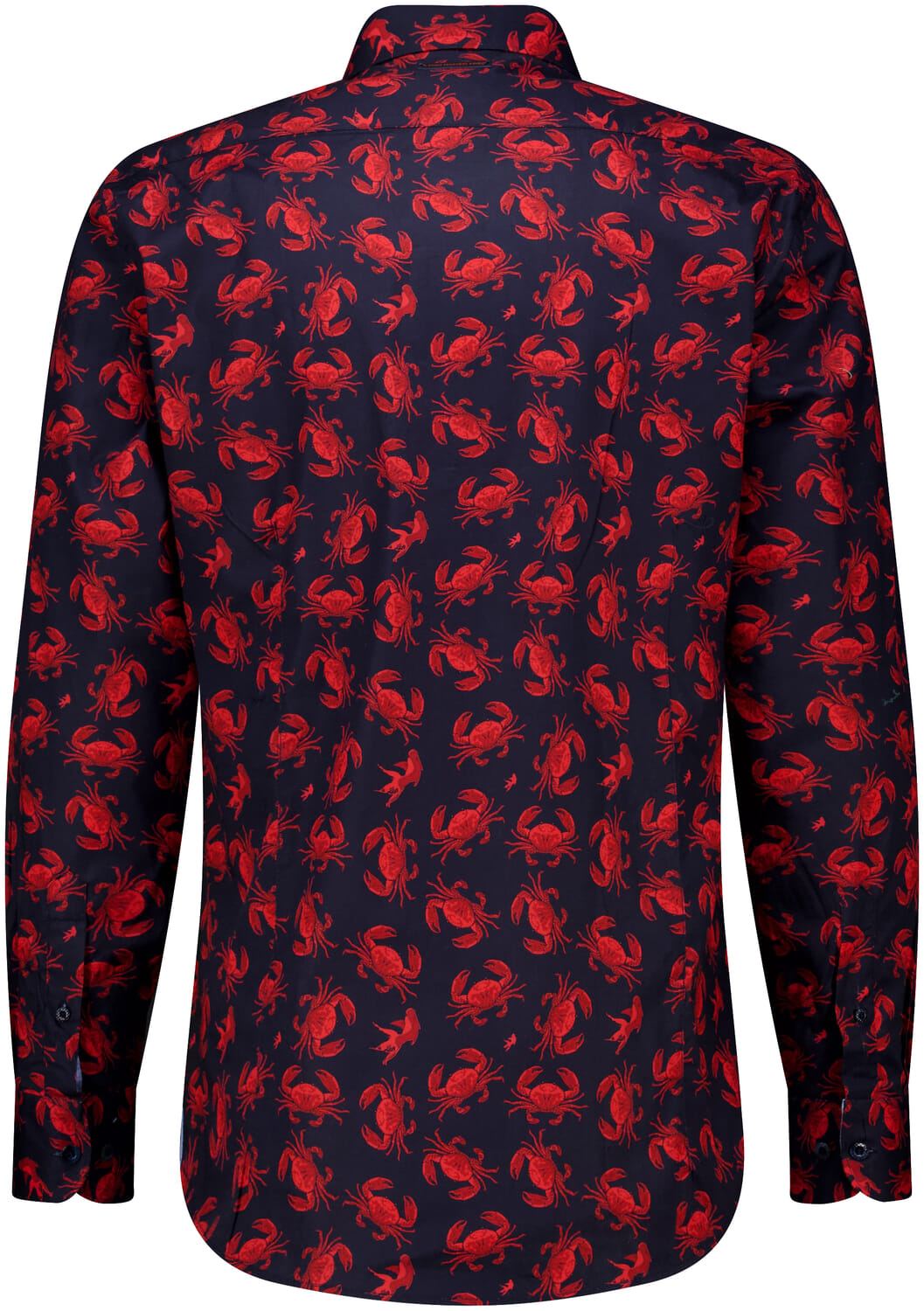 A Fish Named Fred  A Fish Named Fred