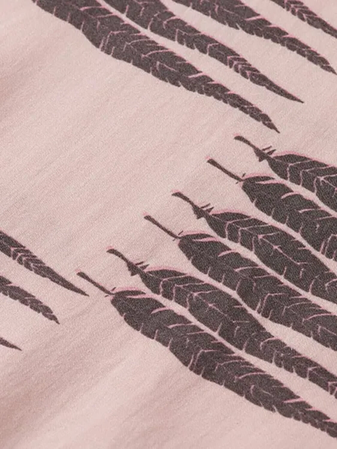 Scotch & Soda  Scotch & Soda