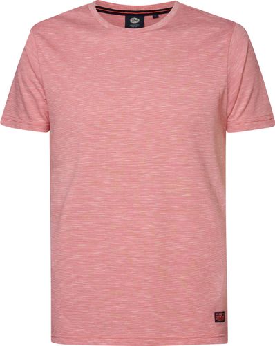 Petrol Men T-Shirt SS Classic Print Roze