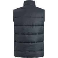 Bodywarmer AVIZER BW Cylon Blauw