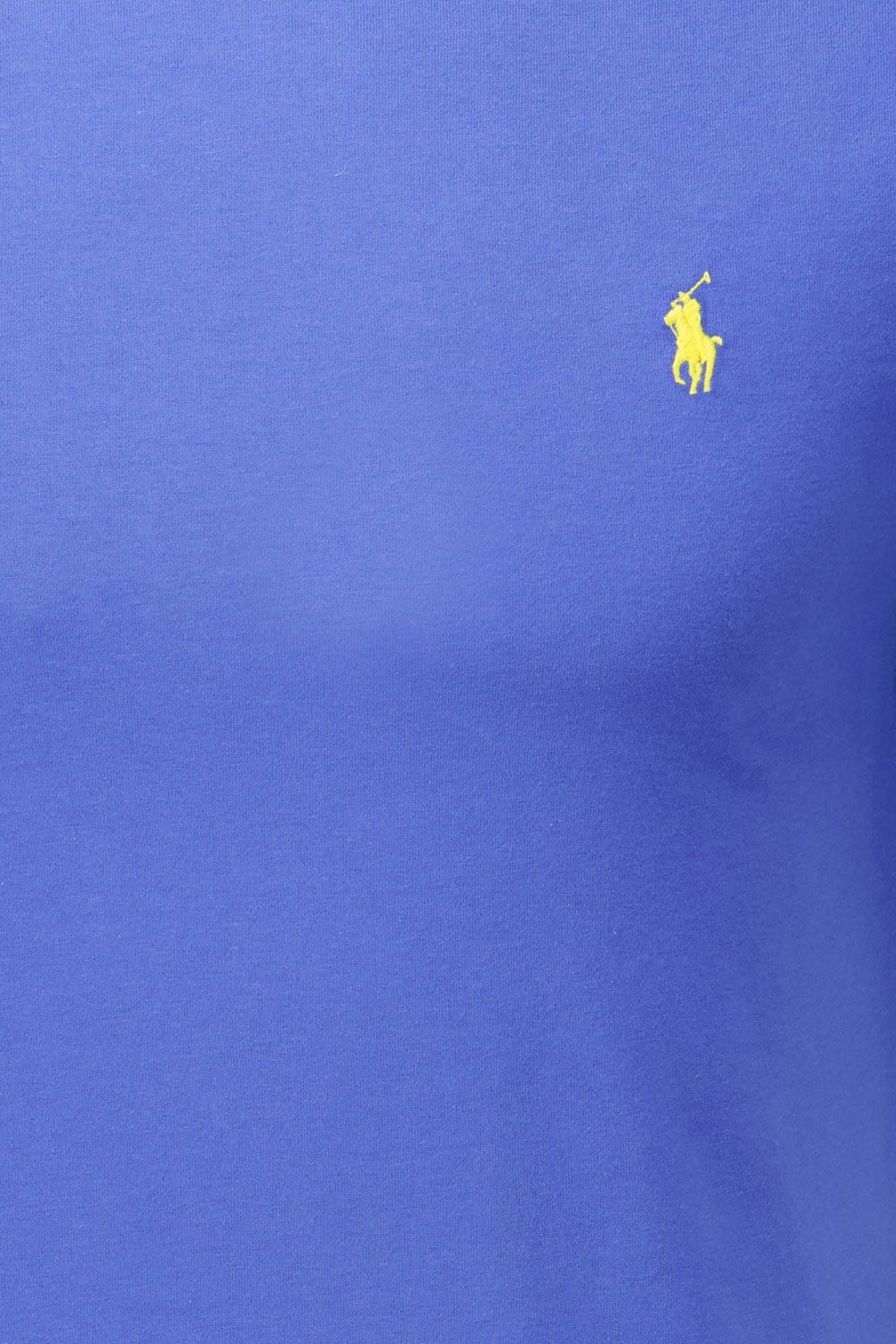Polo Ralph Lauren T-Shirt Blauw