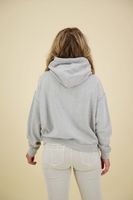 Altatic aplic oversized hood Grijs