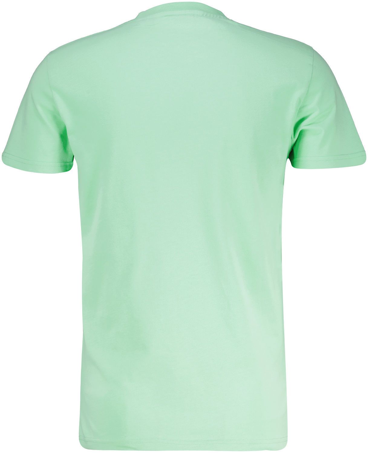 Superdry T-Shirt Essential Groen