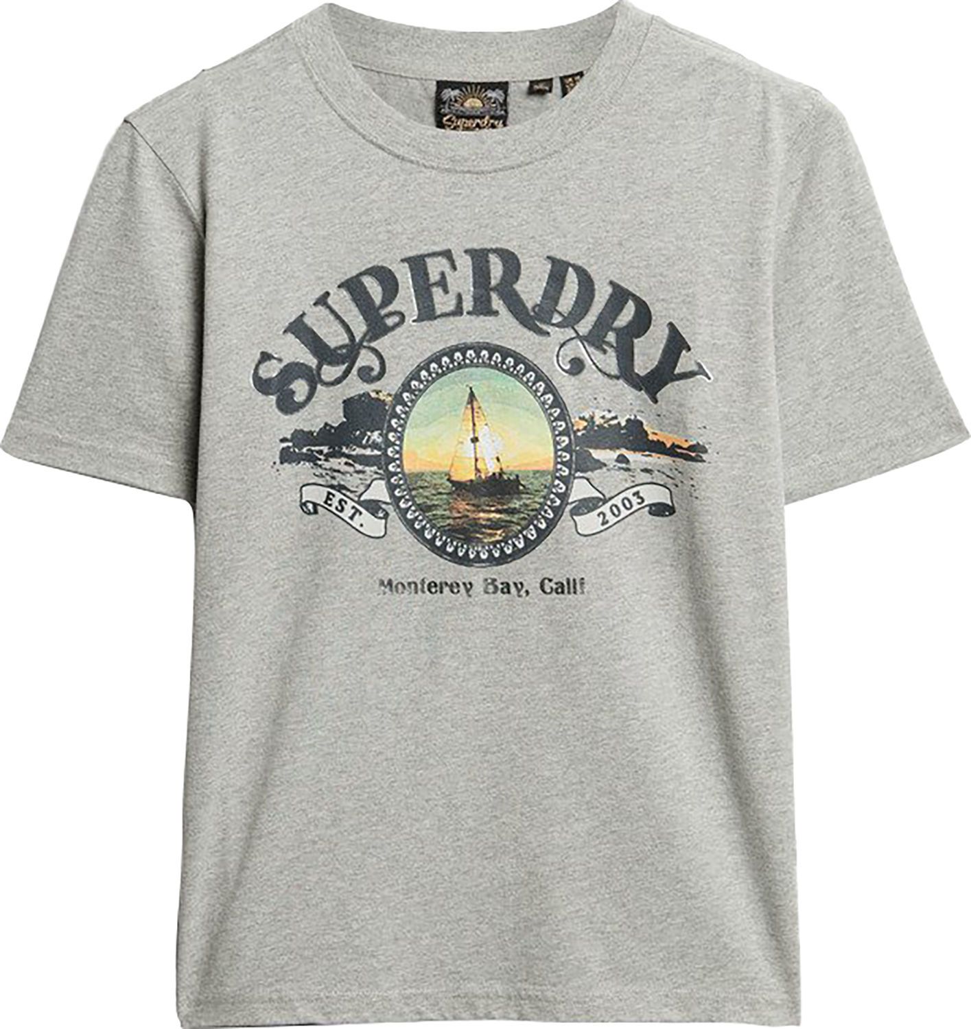 Superdry T-shirt Travel Souvenir Grijs