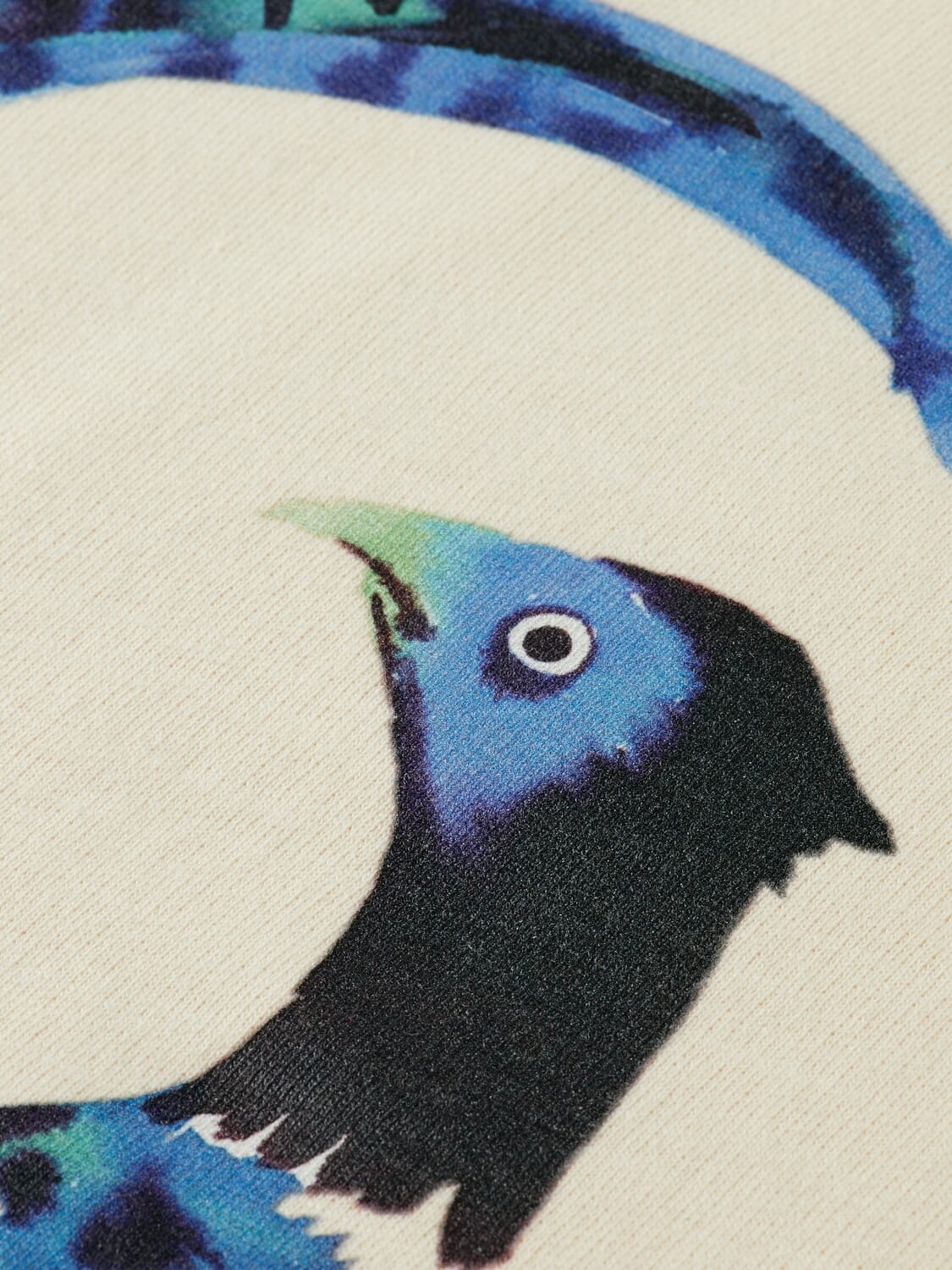 Scotch & Soda  Scotch & Soda