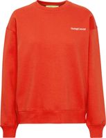 Sweater Sage Rood