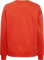 Sweater Sage Rood