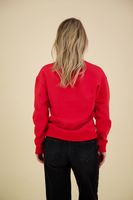 Sweater Sage Rood