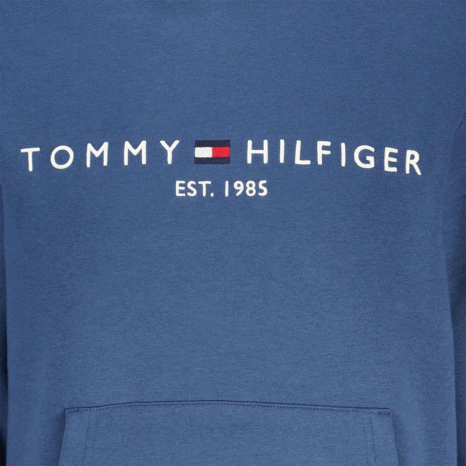 Tommy Hilfiger Hoodie Blauw