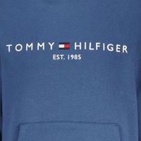 tommy logo hoody Blauw