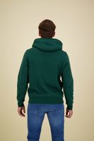 tommy logo hoody Groen