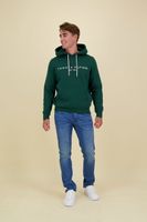 tommy logo hoody Groen