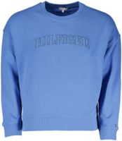RLX tonal Hilfiger sweater Blauw