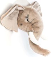Kop olifant George Grijs